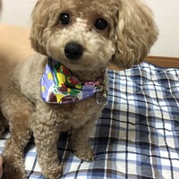 ルナ