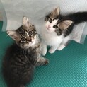 良いご家族に巡り合えました！