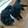 カズエちゃんの息子、遥くん サムネイル4