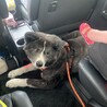 病院に向かう車内です。