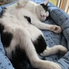 ちゃんべー