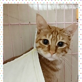 ひとなつっこい女の子♪1歳