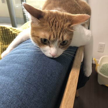 の写真