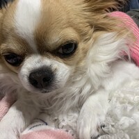 りずむ
