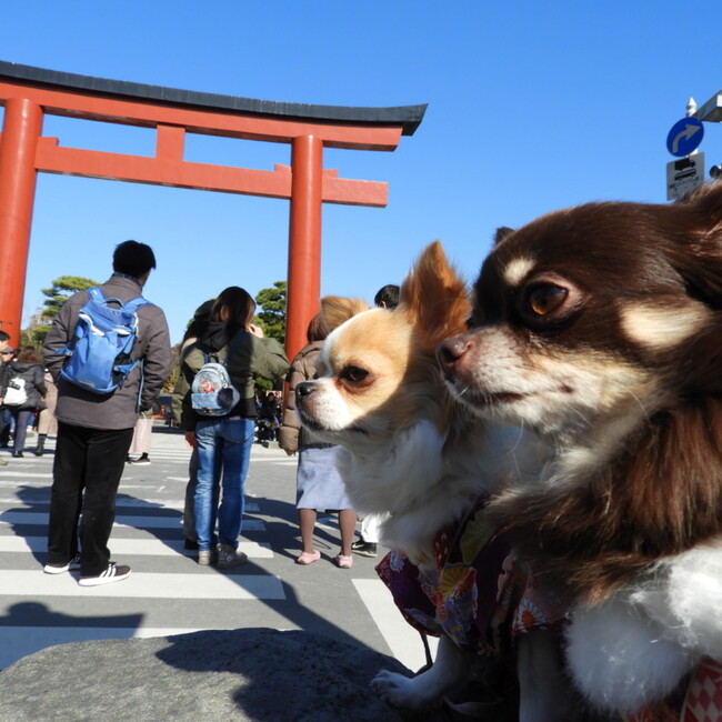 yunyun81のカバー写真