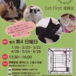 『第17回　Cat First 里親会』