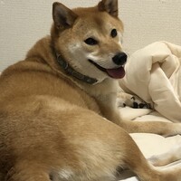 ディーン