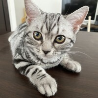 ベリル