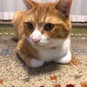 Sコウジ