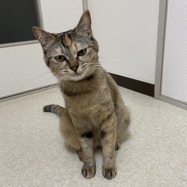 の写真