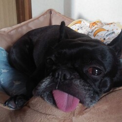 アインシュタインのポーズ