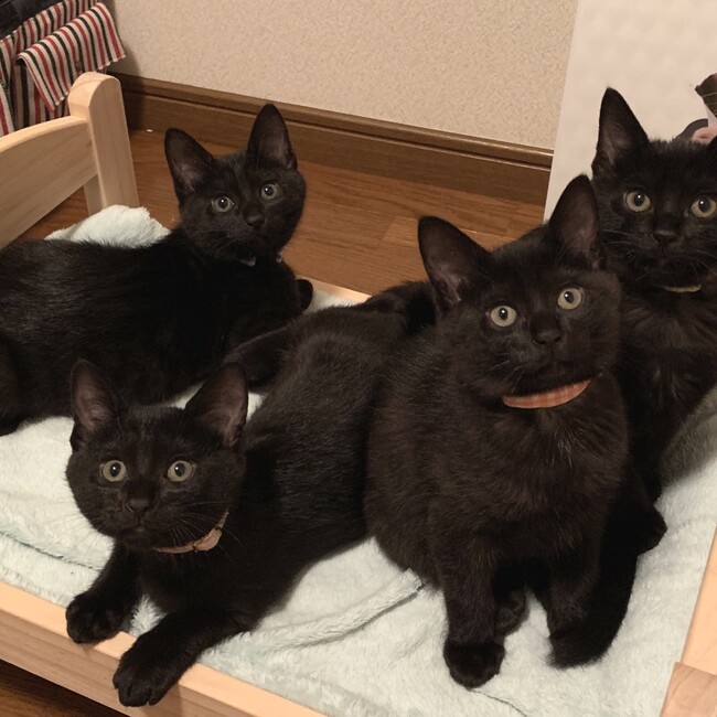 レモ粘土のカバー写真