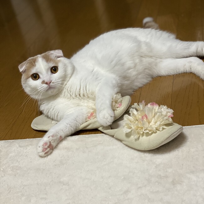 クロエ＊のカバー写真