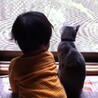 の写真