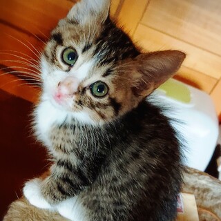 ほんわかなやんちゃ盛りの子たち♪