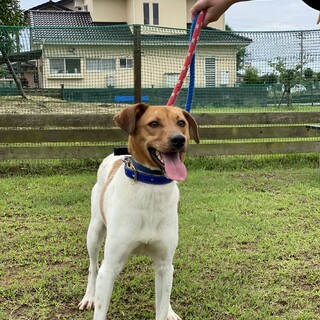 いつも控えめシャイboyに家族を！