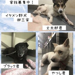 「2020年6月15日の倉敷より→全頭卒業！」サムネイル2