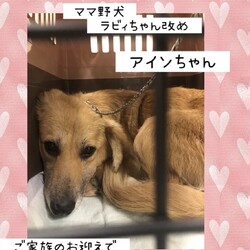 「2020年6月15日の倉敷より→全頭卒業！」サムネイル3