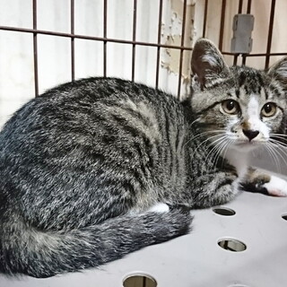 生後2ヶ月半☆女の子