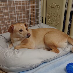 「最近の。。。えさ家(*´∀｀)」サムネイル2