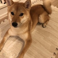 むぎ