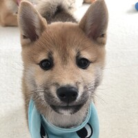 もん