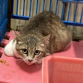 センターにお迎えがありました！有難うございました