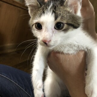 これからいっぱい甘えていいよ！