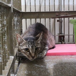 センターにお迎えがありました！有難うございました