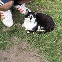寒くなる前に家族になって下さい。