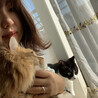みしお