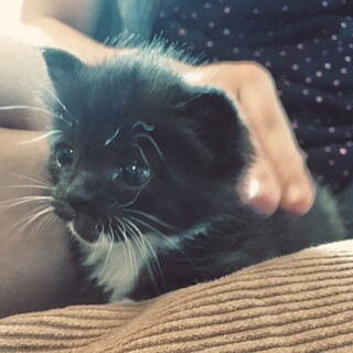 いつまでたっても可愛い赤ちゃん♡