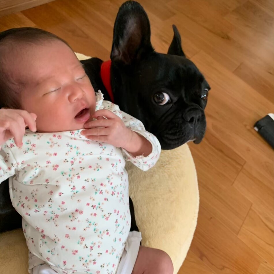 アンのカバー写真