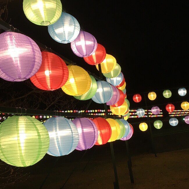 くろわっさん*のカバー写真