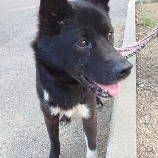 【助けてください】黒くてハンサムな男の子