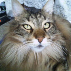 「【閲覧注意】またこんなに溜めていたベルクさん」サムネイル1