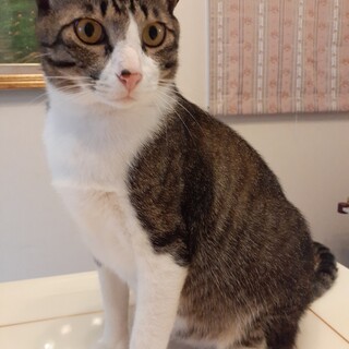 [ 2 ]体重９キロの未央ちゃん