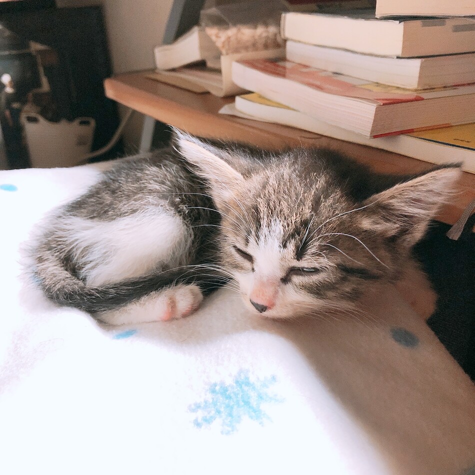 未命名のカバー写真