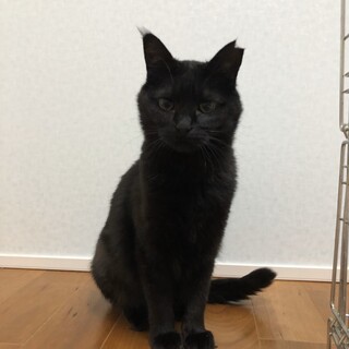 良いご縁に恵まれました！