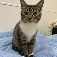 くろこ