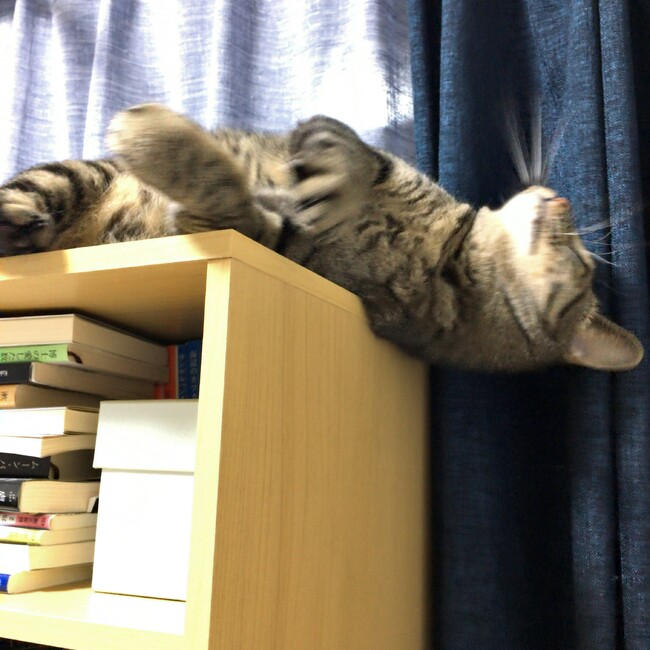 はやたあきとのカバー写真