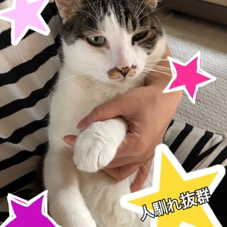 ★人馴れ抜群の癒し系★