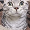 おにおんりんぐ
