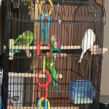 みんなでお昼寝中！！