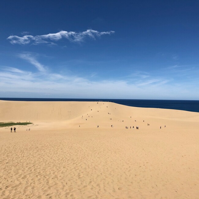 fantianのカバー写真