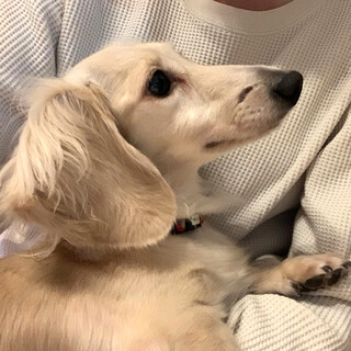 ご応募多数で一旦募集終了いたします