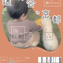 ねこの譲渡会＠サカタニギャラリー サムネイル1