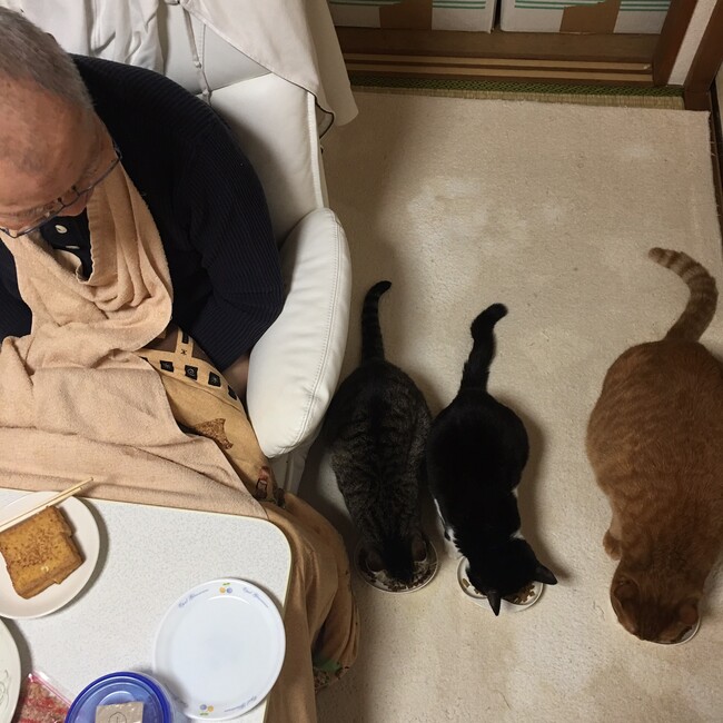 miyareonanaのカバー写真