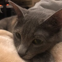 ちた