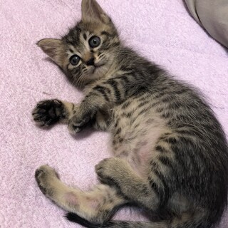 ありがとうございました